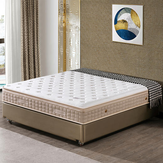 【套装】维也纳酒店专享八代床垫+同款床单 商品图0