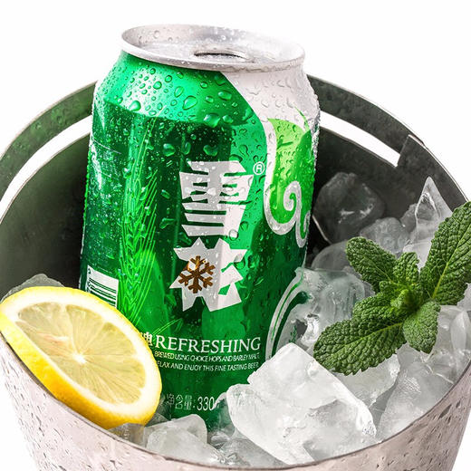 雪花啤啤酒 8度清爽 330ml*24听