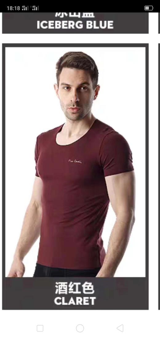 3F皮尔卡丹半袖 商品图2