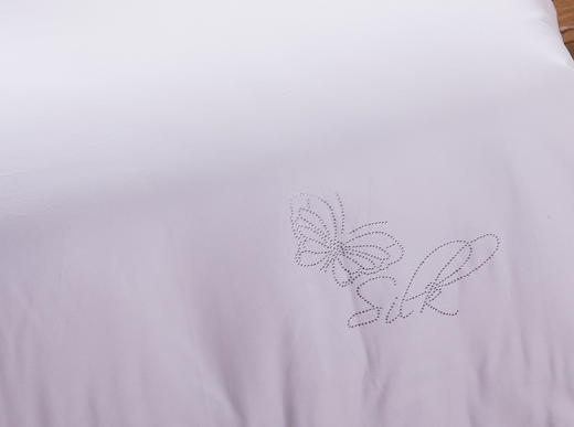 【远梦】蚕蛹蛋白养护冬被 商品图3