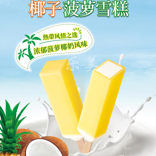 迷你10支装明治椰子菠萝雪糕冰淇淋480g