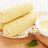 【密云农家玉米双拼 3根水果玉米+3根糯玉米】6根/份，双重口味，鲜玉米，儿时的味道 商品缩略图0