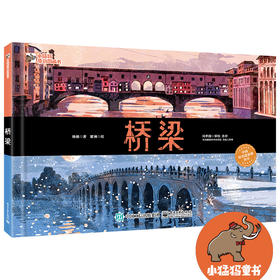 官方正版 桥梁 韩婧 瞿澜 桥梁建筑的知识海洋 桥梁结构与科学技术