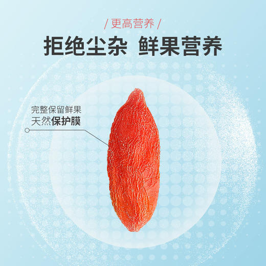 【杞里香鲜果锁鲜枸杞子】大颗粒宁夏鲜果85g宁夏构纪茶男 商品图2