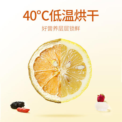 杞里香缤纷水果茶10g*10包  10种口味搭配选择  澎湃鲜果 泡在茶里 商品图2