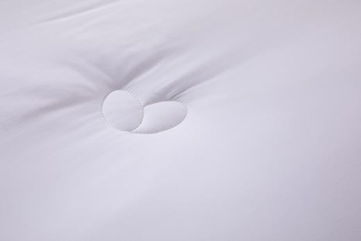 【远梦】蚕蛹蛋白养护冬被 商品图4