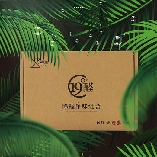 小在意19℃醛-除醛净味组合 商品图10