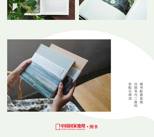 【随书配套音频】唐宋词选 婉约派 林风眠插图珍藏版 李煜等著 李清照、温庭筠……等词人80首婉约词 中信出版社图书 正版书籍 商品图3