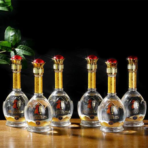 陕西西凤酒西凤御窖贡品级  45度浓香型白酒  整箱6瓶*500ml包邮 商品图4