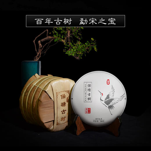 霏鸿茶叶 普洱茶生茶饼茶勐宋茶区名山古树茶2020年保塘古树200g 商品图1