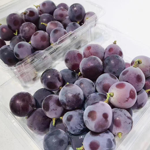 富士峰😋黑藤巨峰葡萄🍇！集“甜”、“香”、“鲜”于一身，颗颗晶莹饱满，犹如一串串黑珍珠，光彩夺目。肉厚可口，多汁清甜，新鲜直冲你的味蕾，吃一口就会爱上它 ！ 商品图2