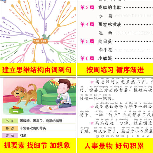 思维训练 小学生看图说话写话三步走 二年级提高篇 商品图1
