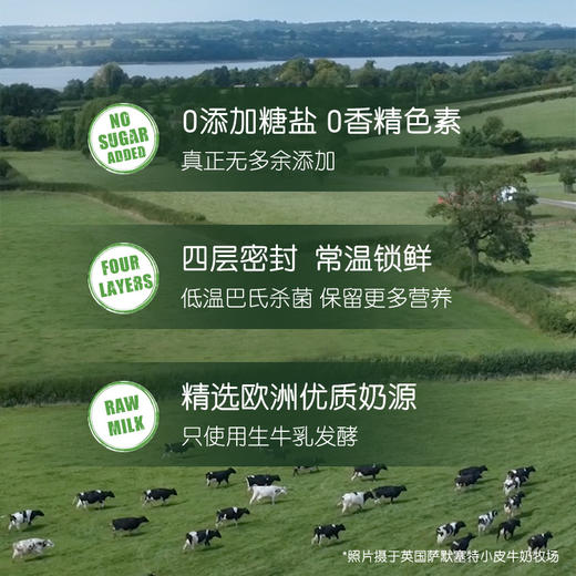 （超值）英国小皮little freddie  欧洲原装进口多种口味果蔬泥 酸奶谷物水果泥 商品图1