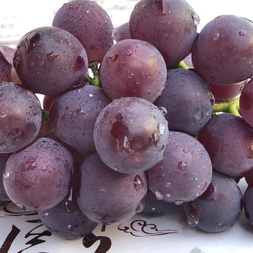 富士峰😋黑藤巨峰葡萄🍇！集“甜”、“香”、“鲜”于一身，颗颗晶莹饱满，犹如一串串黑珍珠，光彩夺目。肉厚可口，多汁清甜，新鲜直冲你的味蕾，吃一口就会爱上它 ！ 商品图3