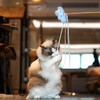 zeze星空逗猫棒-B(包邮) 商品缩略图3
