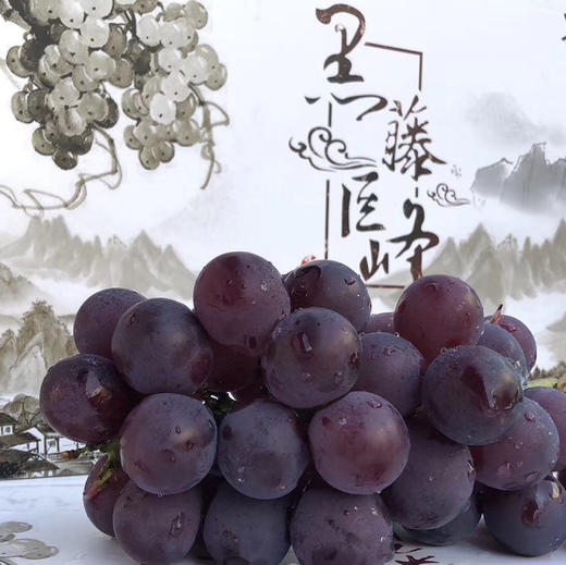黑藤君黑藤巨峰葡萄!