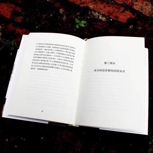 经济的未来 轻与重文丛 让-皮埃尔·迪皮伊 经济学 经济理论 政治学 解华翻译 正版 精装 华东师范大学出版社 商品图3