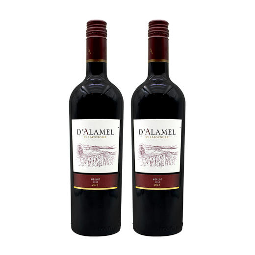 【智利】黛拉美-梅洛红葡萄酒 D`ALAMEL MERLOT 750ml*2 商品图0