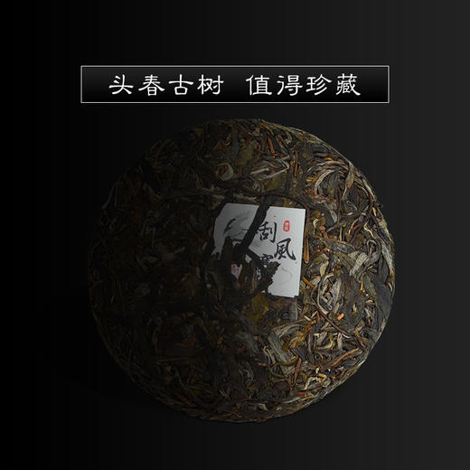 霏鸿茶叶 2020春茶刮风寨古树普洱茶生茶 高山云雾古树饼茶200g 商品图3