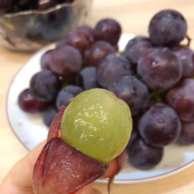 富士峰😋黑藤巨峰葡萄🍇！集“甜”、“香”、“鲜”于一身，颗颗晶莹饱满，犹如一串串黑珍珠，光彩夺目。肉厚可口，多汁清甜，新鲜直冲你的味蕾，吃一口就会爱上它 ！