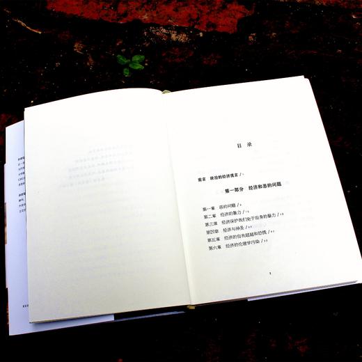 经济的未来 轻与重文丛 让-皮埃尔·迪皮伊 经济学 经济理论 政治学 解华翻译 正版 精装 华东师范大学出版社 商品图2