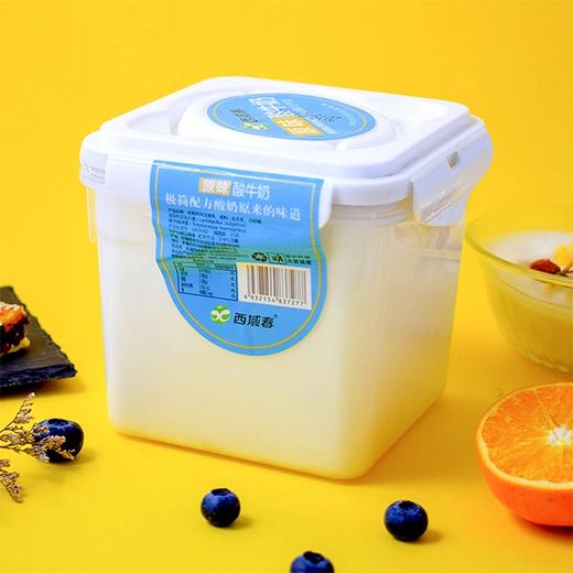 【新疆西域春原味酸奶】1kg/桶，奶源来自呼图壁牧场 商品图0