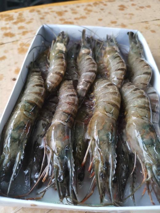 黑虎虾熟虾400g1盒3140只