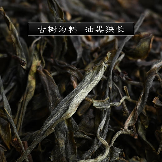 霏鸿茶叶 2020春茶刮风寨古树普洱茶生茶 高山云雾古树饼茶200g 商品图2