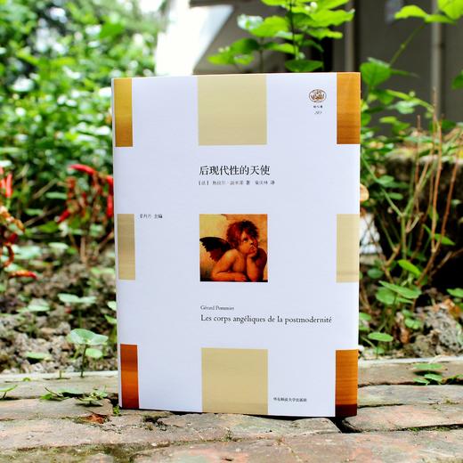 后现代性的天使 轻与重文丛 当代西方社会的精神和心理危机 西方人身体困境 哲学 精装 正版 华东师范大学出版社 商品图2