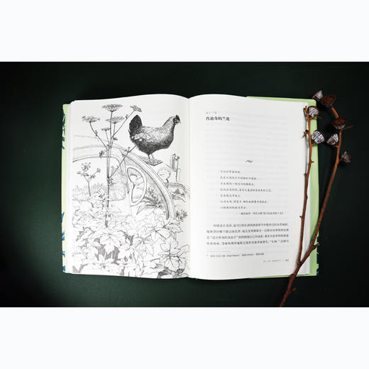 杂草的故事(典藏版) 商品图3