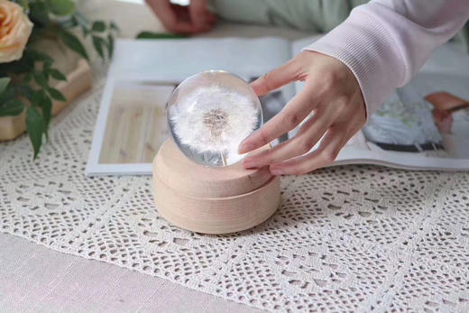 天然蒲公英永生花 商品图6