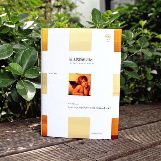 后现代性的天使 轻与重文丛 当代西方社会的精神和心理危机 西方人身体困境 哲学 精装 正版 华东师范大学出版社 商品图1
