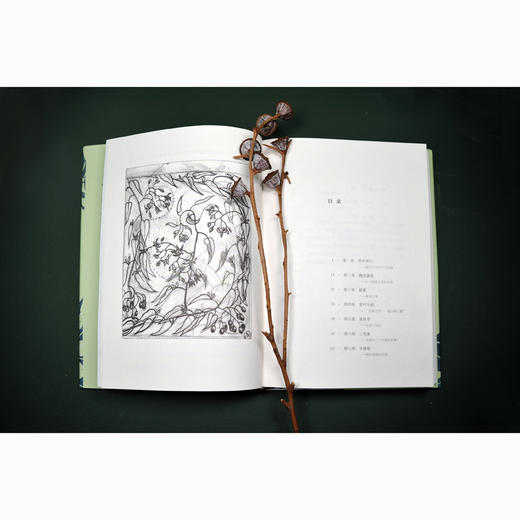 杂草的故事(典藏版) 商品图4