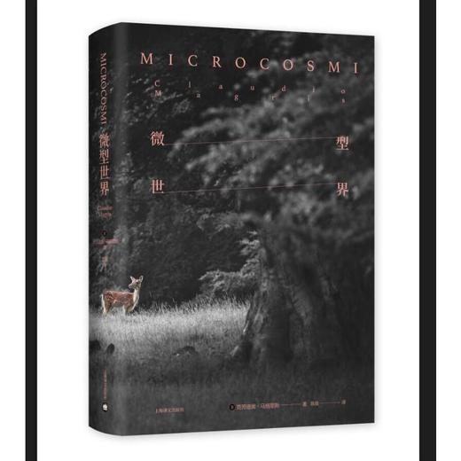 微型世界 商品图0