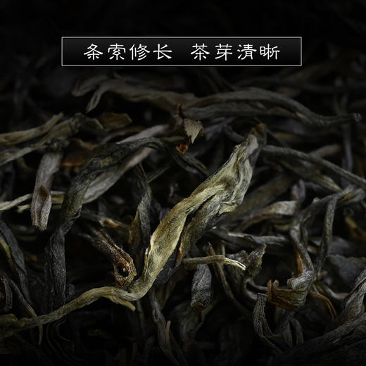 霏鸿茶叶 普洱茶生茶饼茶勐宋茶区名山古树茶2020年保塘古树200g 商品图2