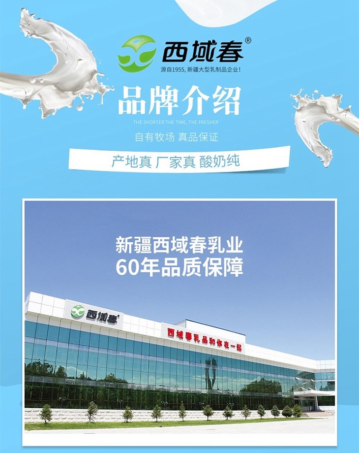 【西域春冰激凌酸奶】135g*12杯,网红款,每一滴都来自新疆优质牧场