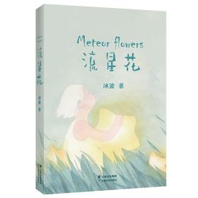 《流星花》