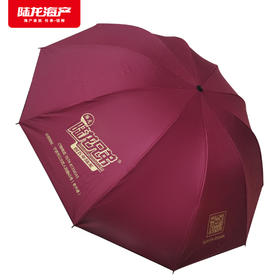 陆龙晴雨伞