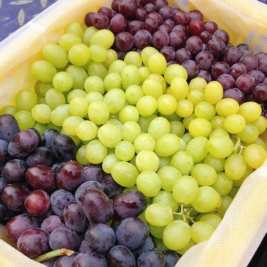 【新疆吐鲁番三拼葡萄】约4斤/框，玻璃翠+无核紫+无核白 商品图2