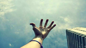 柳子虚失业日记