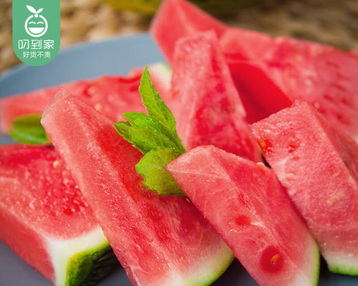 海南无籽麒麟西瓜/1个（约3.25-3.75kg） 商品图2