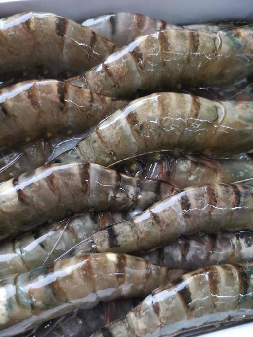 黑虎虾熟虾400g1盒3140只