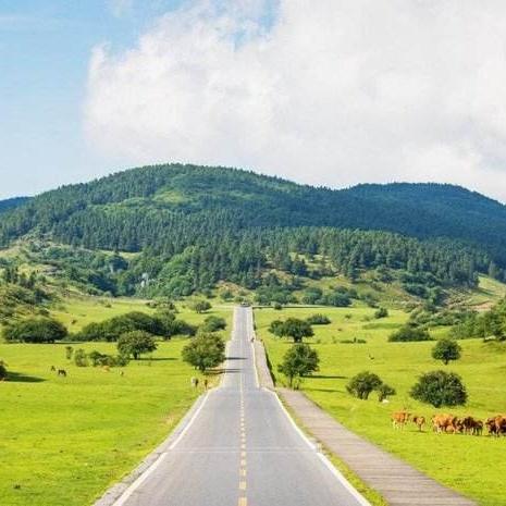 武隆天生三桥龙水峡地鏠仙女山纯玩一日游 商品图5