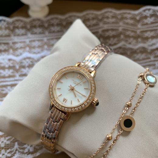 lolarose贝母钢带女表