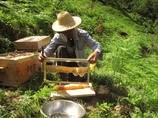 【香格里拉】维西百花蜜，360g/瓶 商品图1