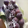 富士峰😋黑藤巨峰葡萄🍇！集“甜”、“香”、“鲜”于一身，颗颗晶莹饱满，犹如一串串黑珍珠，光彩夺目。肉厚可口，多汁清甜，新鲜直冲你的味蕾，吃一口就会爱上它 ！ 商品缩略图1