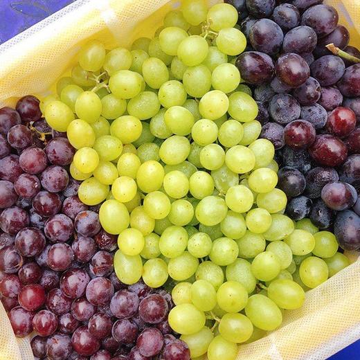 【新疆吐鲁番三拼葡萄】约4斤/框，玻璃翠+无核紫+无核白 商品图0
