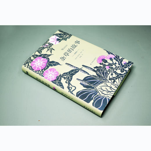 杂草的故事(典藏版) 商品图2