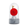 ROSEONLY诺誓 永生玫瑰-水晶之恋系列 甜心兔的玫瑰星球-音乐钟罩 商品缩略图2