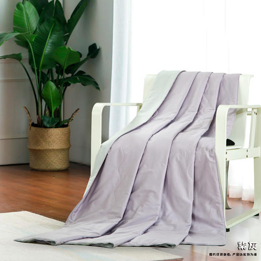 鑫缘可水洗纯蚕丝被 AEPZ 商品图1